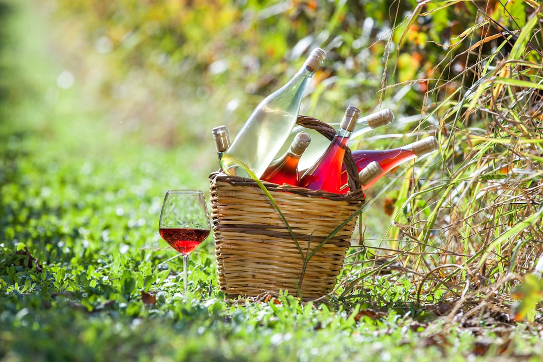 Little Owl Brings Accessible Greek Wine to the UK