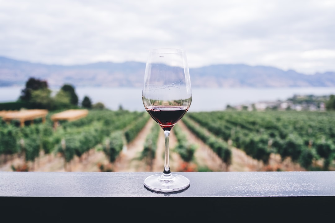 Côtes du Rhône Wants You to Drink Its Reds Chilled