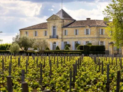 Margaux Fifth Growth Château du Tertre back to 1998 – Tuesday 3rd November