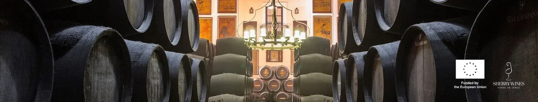A Night in Jerez - The Valdespino Bodega