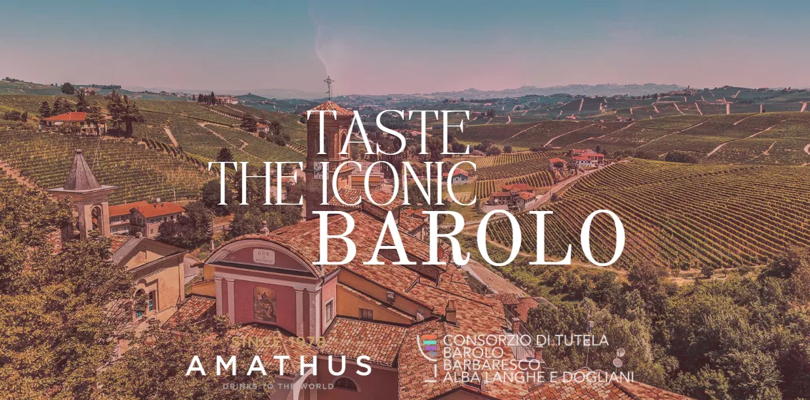 Barolo Wine & Food Experience | Amathus Westbourne Grove x Brasseria