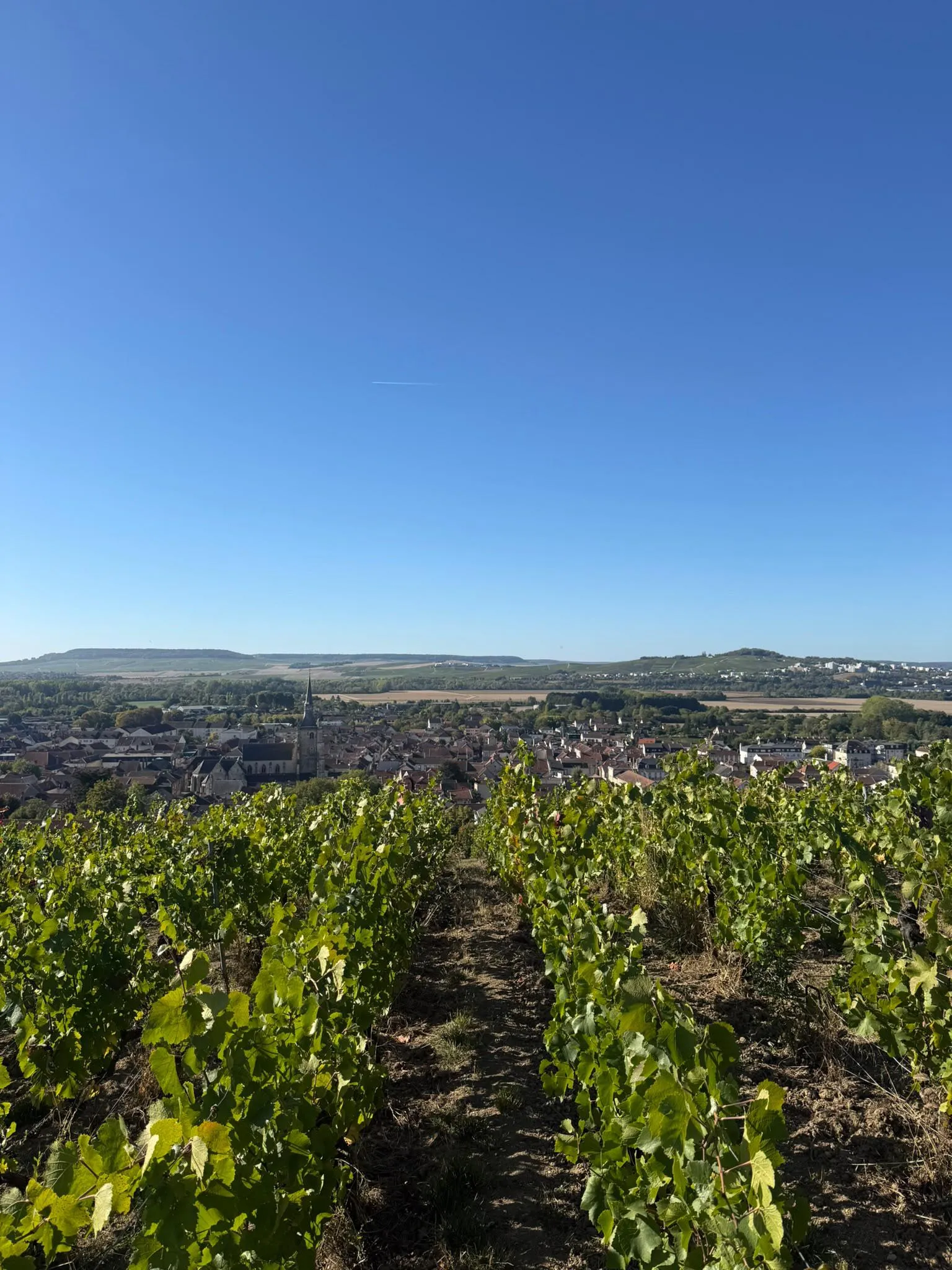 Astral Wines - Deutz Champagne Tasting - Smith & Gertrude - 19 October