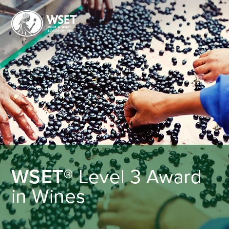 WSET Level 3 Award in Wines Course – Winchester