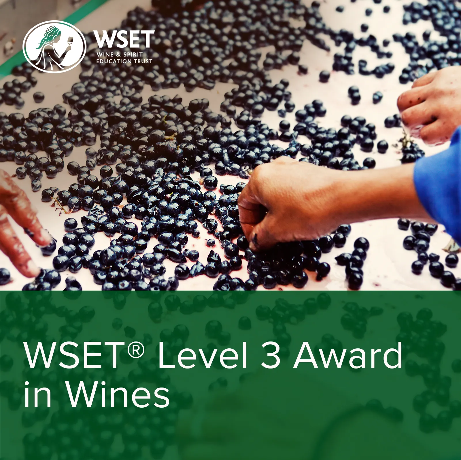 WSET Level 3 Award in Wines Classroom, Sundays