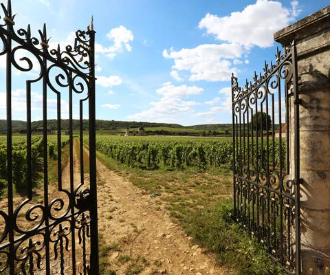 Out of the ordinary France