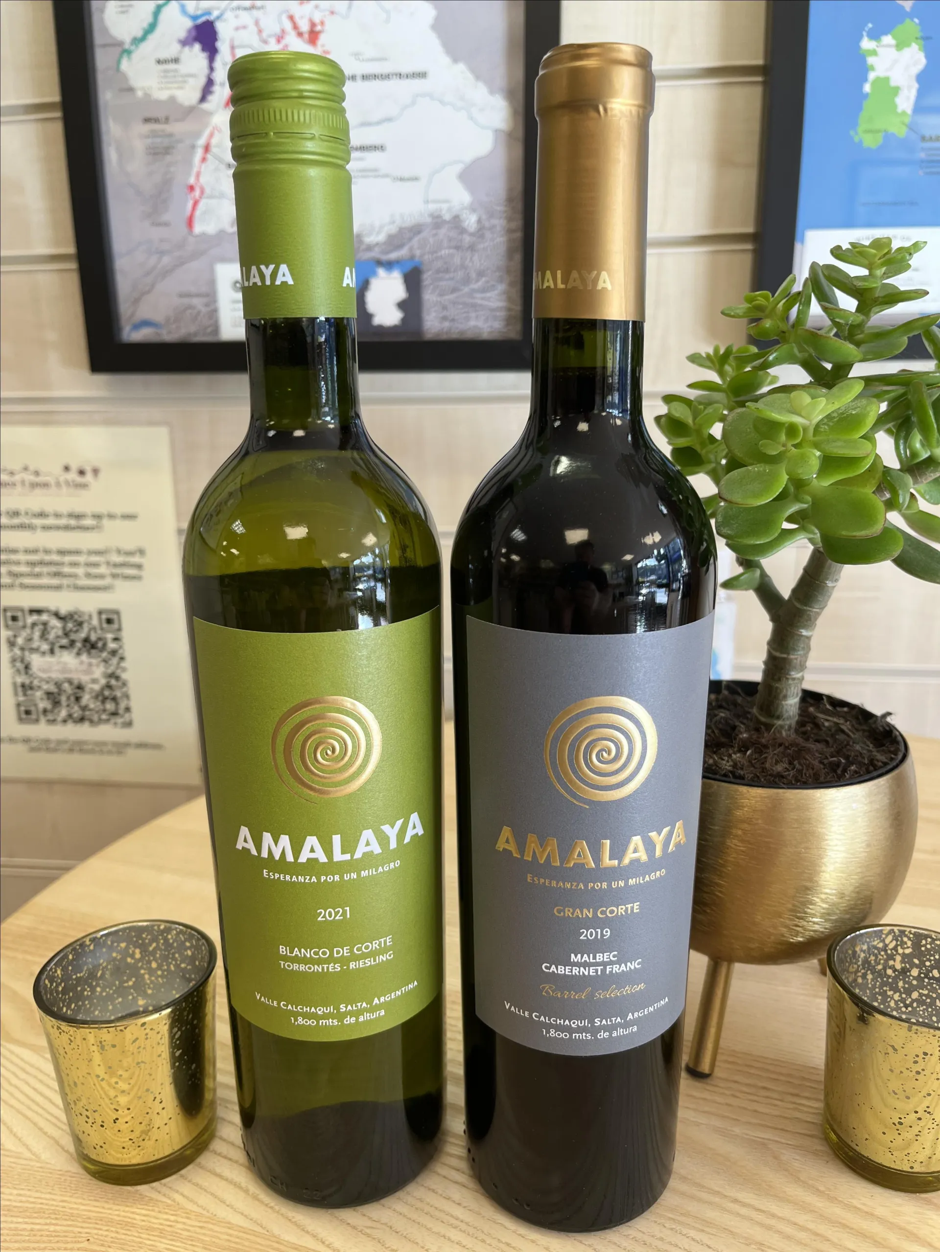 Wines Of South America!! - Horsforth