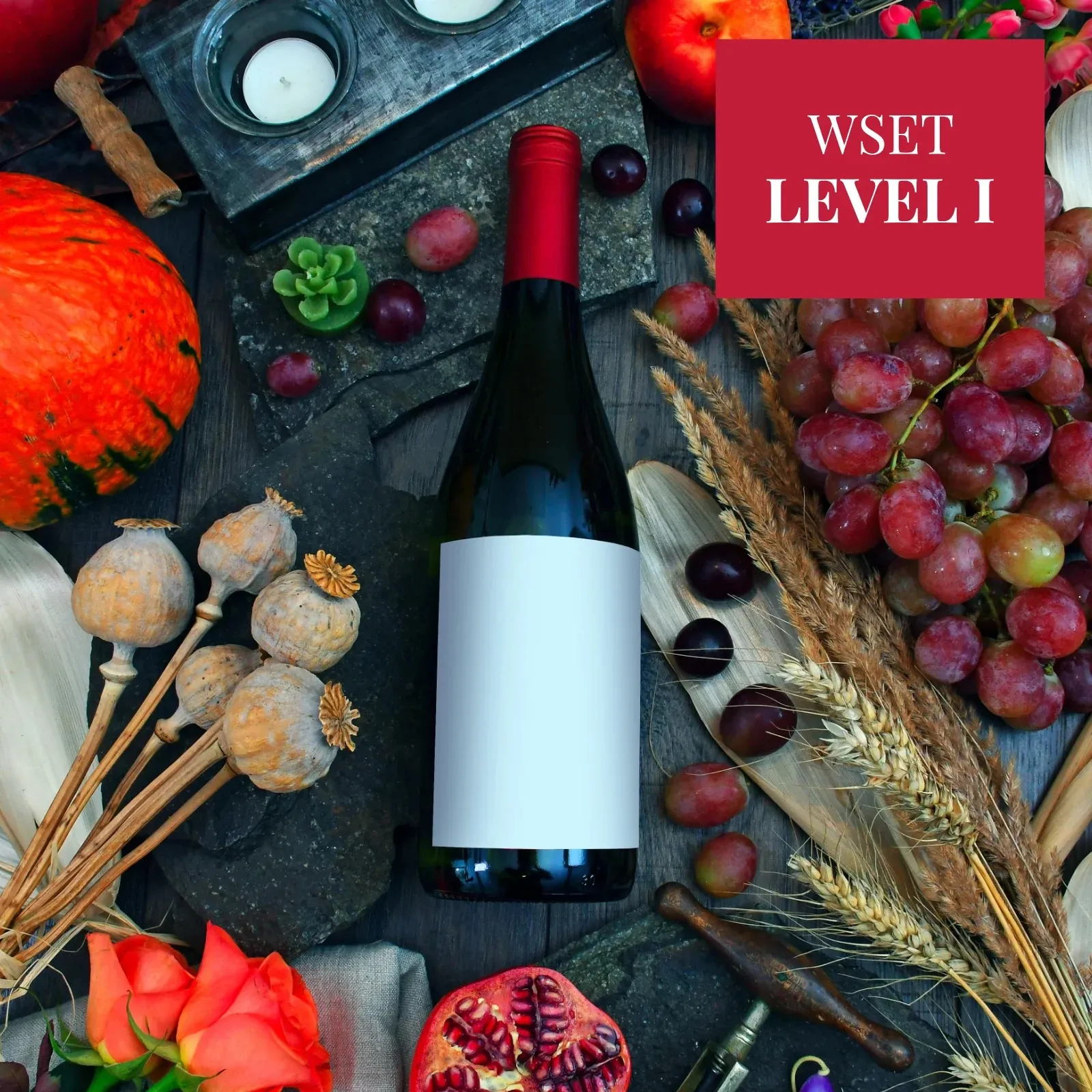 WSET Level 1 Award in Wines - One day course to start your wine journey