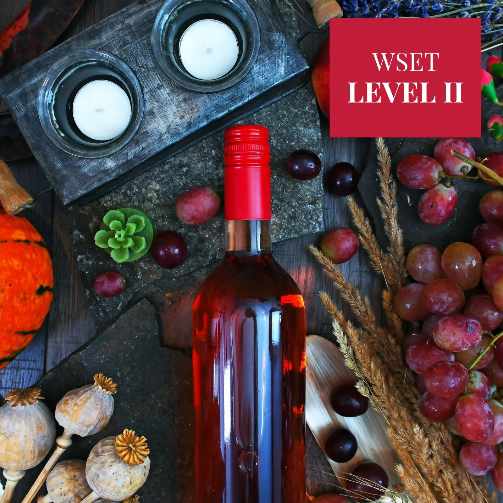 WSET Level 2 Award in Wines - Two Day Course to Expand your Wine Knowledge