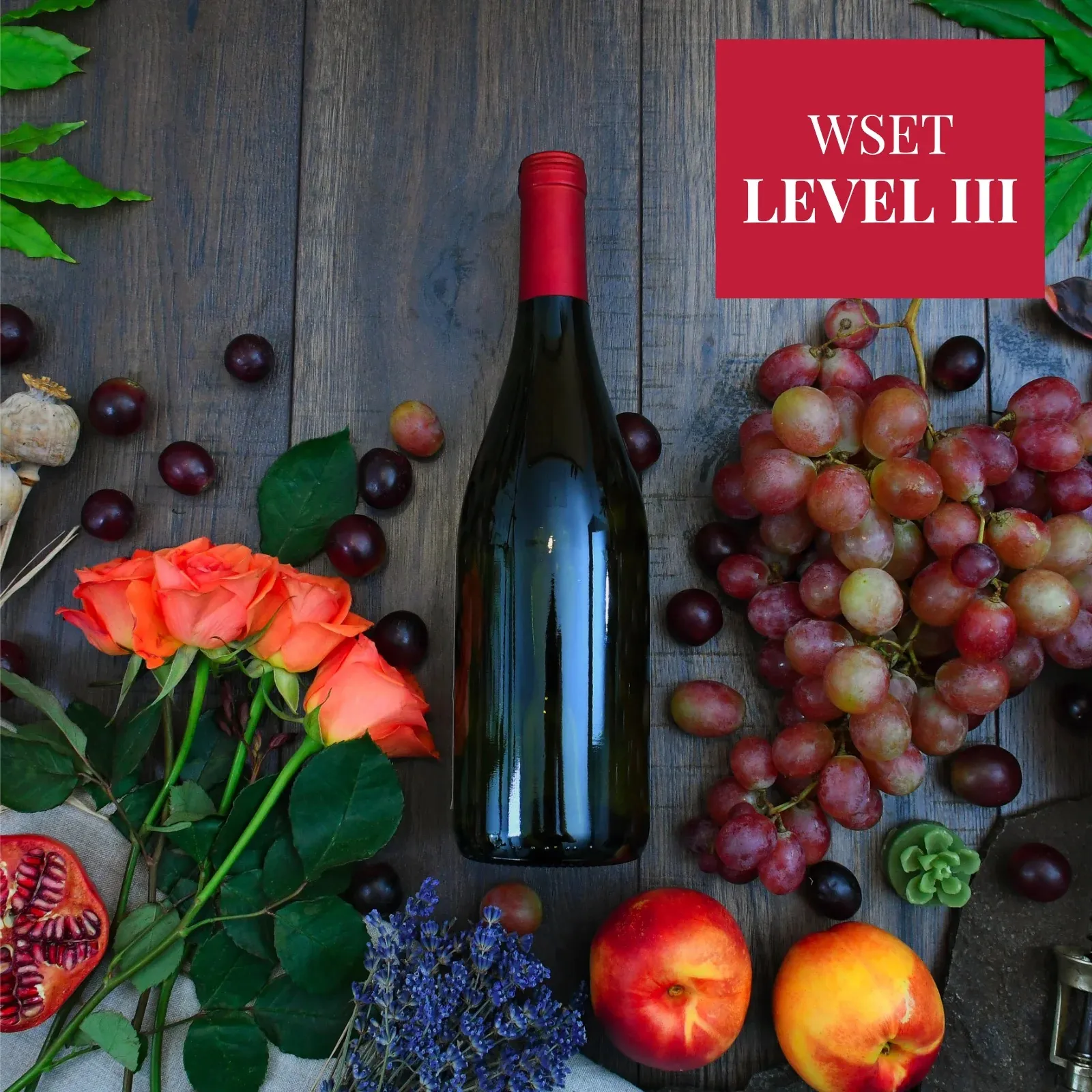 WSET Level 3 Award in Wines - Five days course that improves your wine skills.
