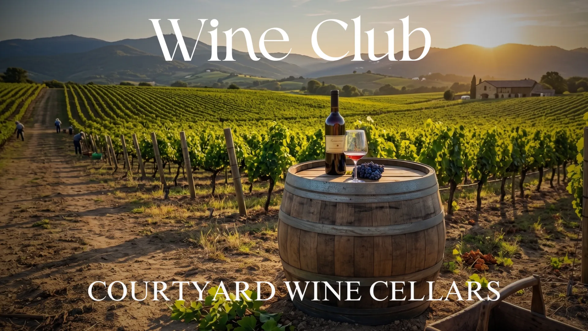 Monthly Wine Club at Courtyard Wine Cellars