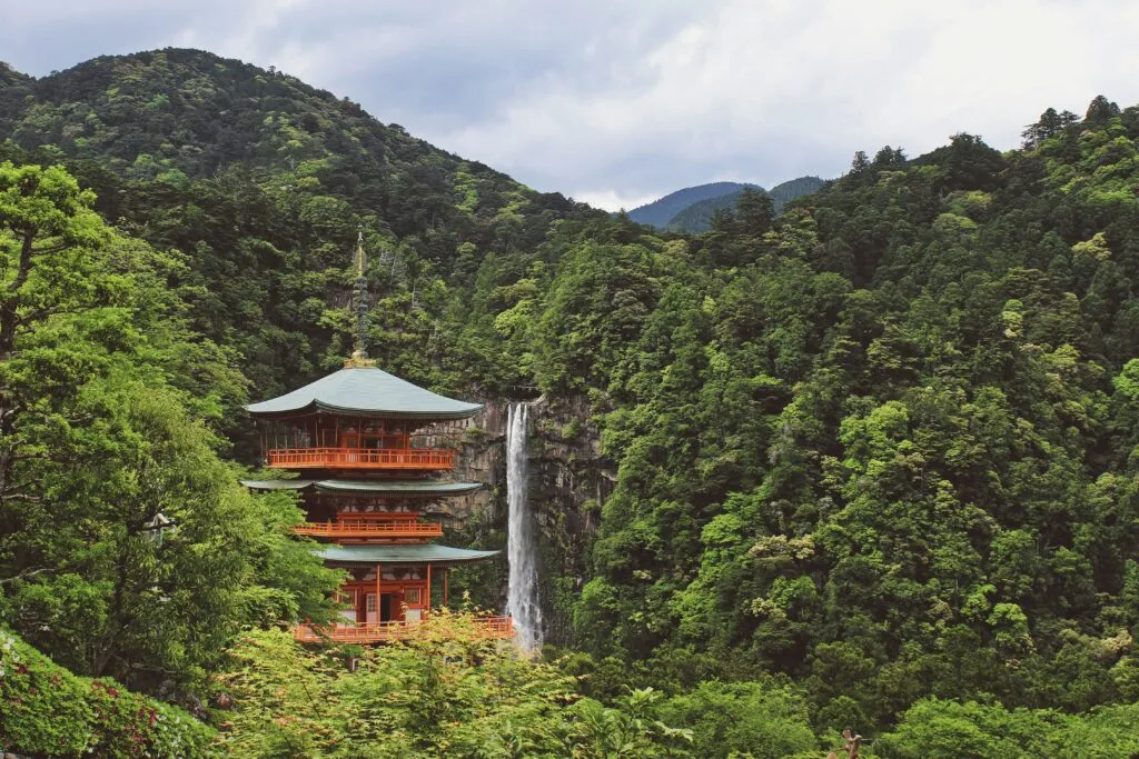 Japanese Wine Dinner with Damon Little