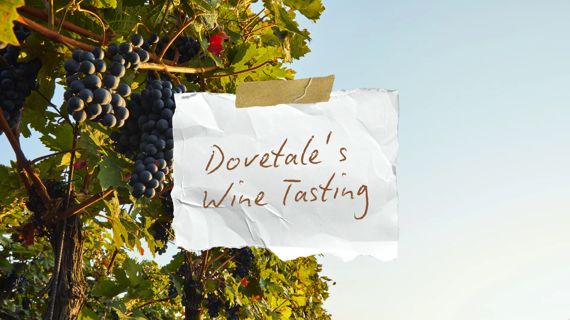 Dovetale's Wine Tasting