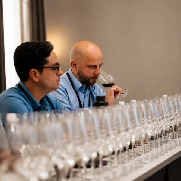 The Great Wine Regions Series – Part 10: California