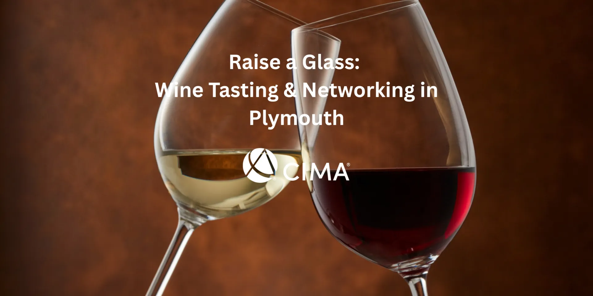 Raise a Glass: Wine Tasting & Networking in Plymouth