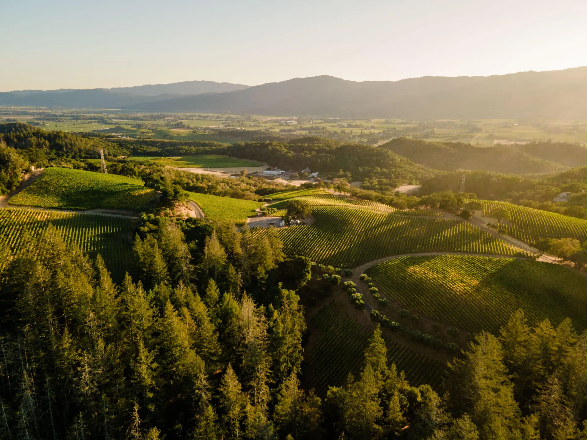 California Winemaker Dinner /w Kevin Travis from Starmont Vineyards