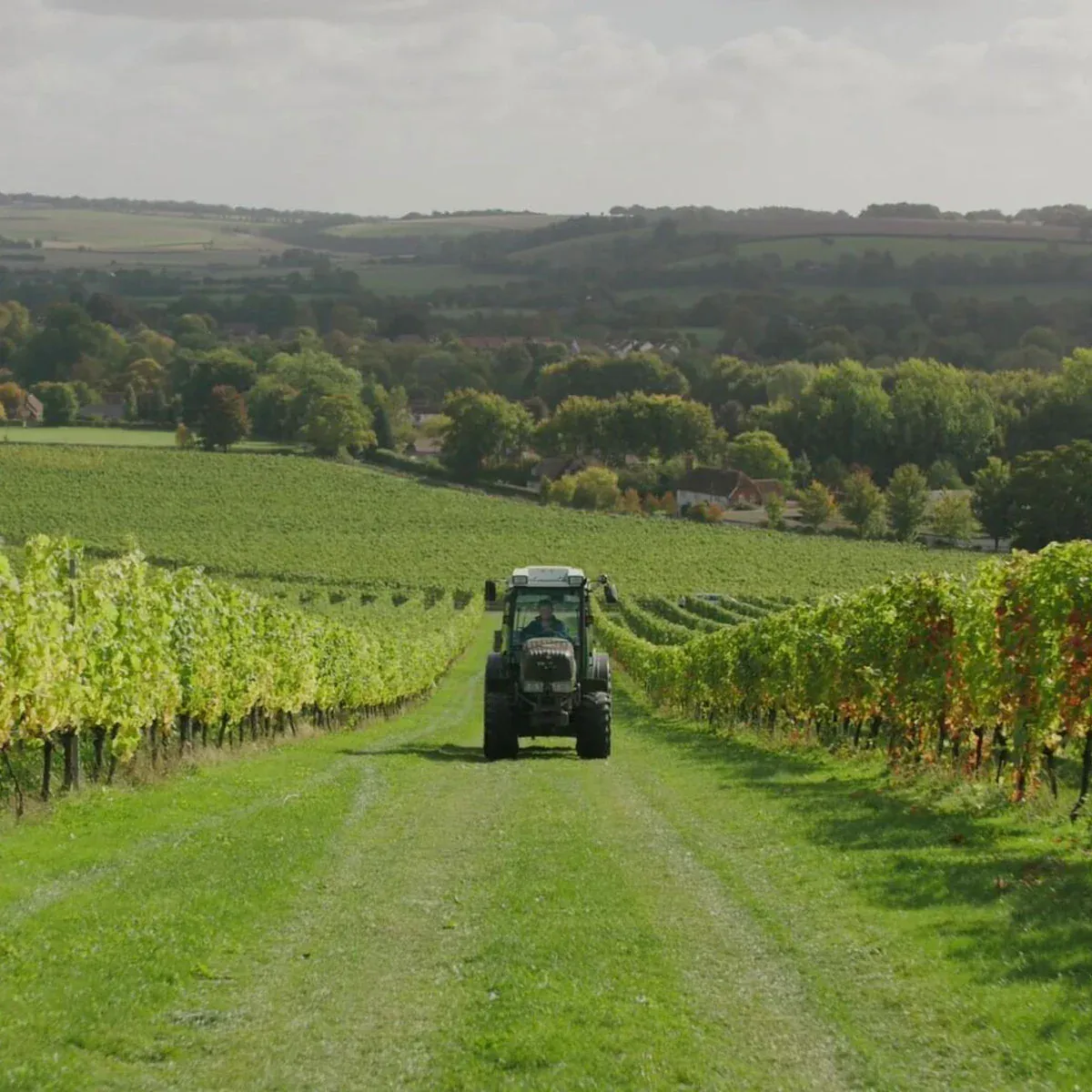 An Evening with Karl McCulloch: Exton Park & English Sparkling Excellence