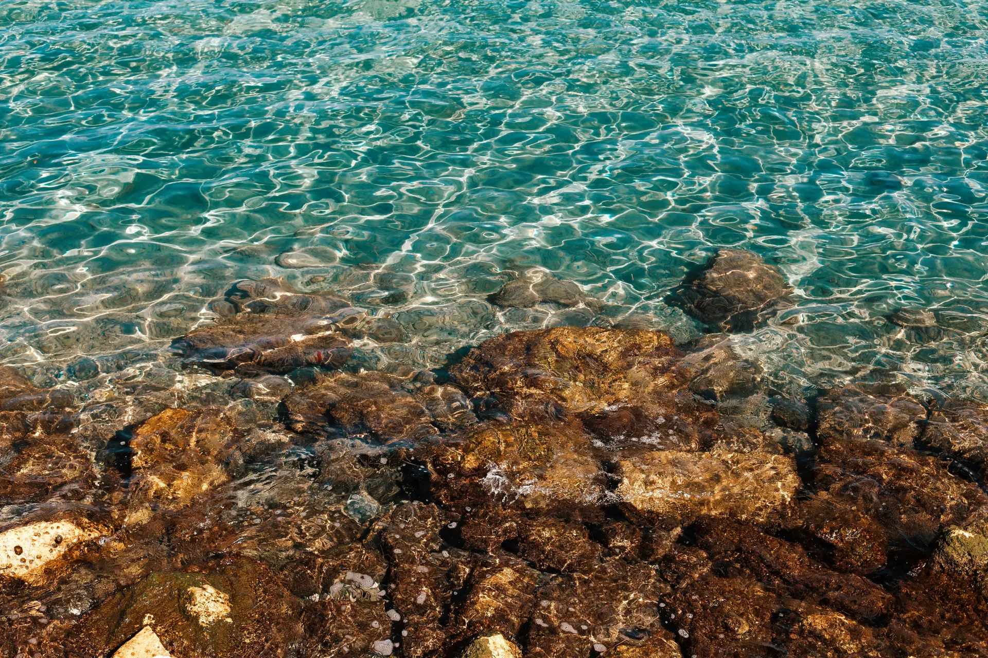 Shell we drink? Wines from Ancient Sea Beds