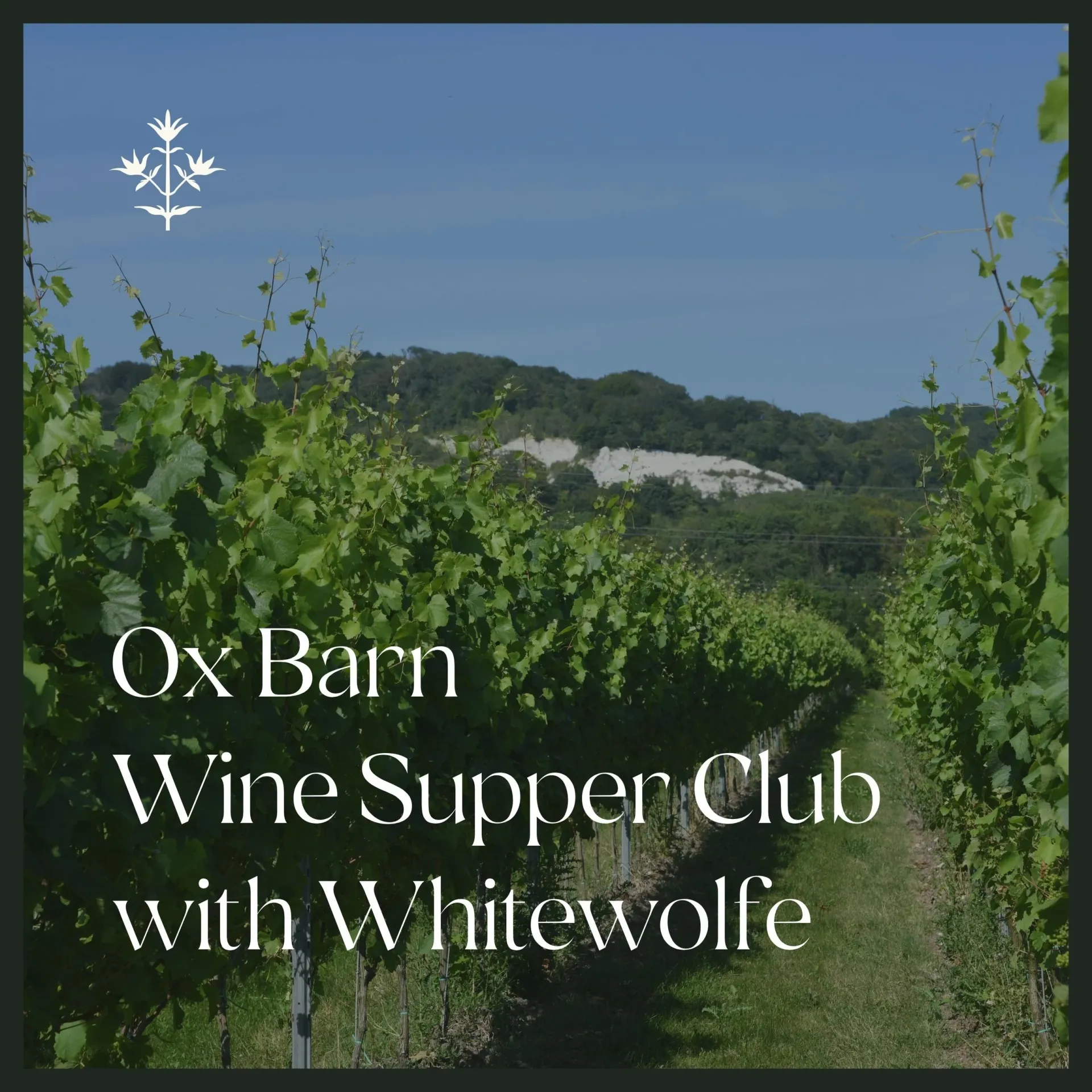 Ox Barn Wine Supper Club with Whitewolfe