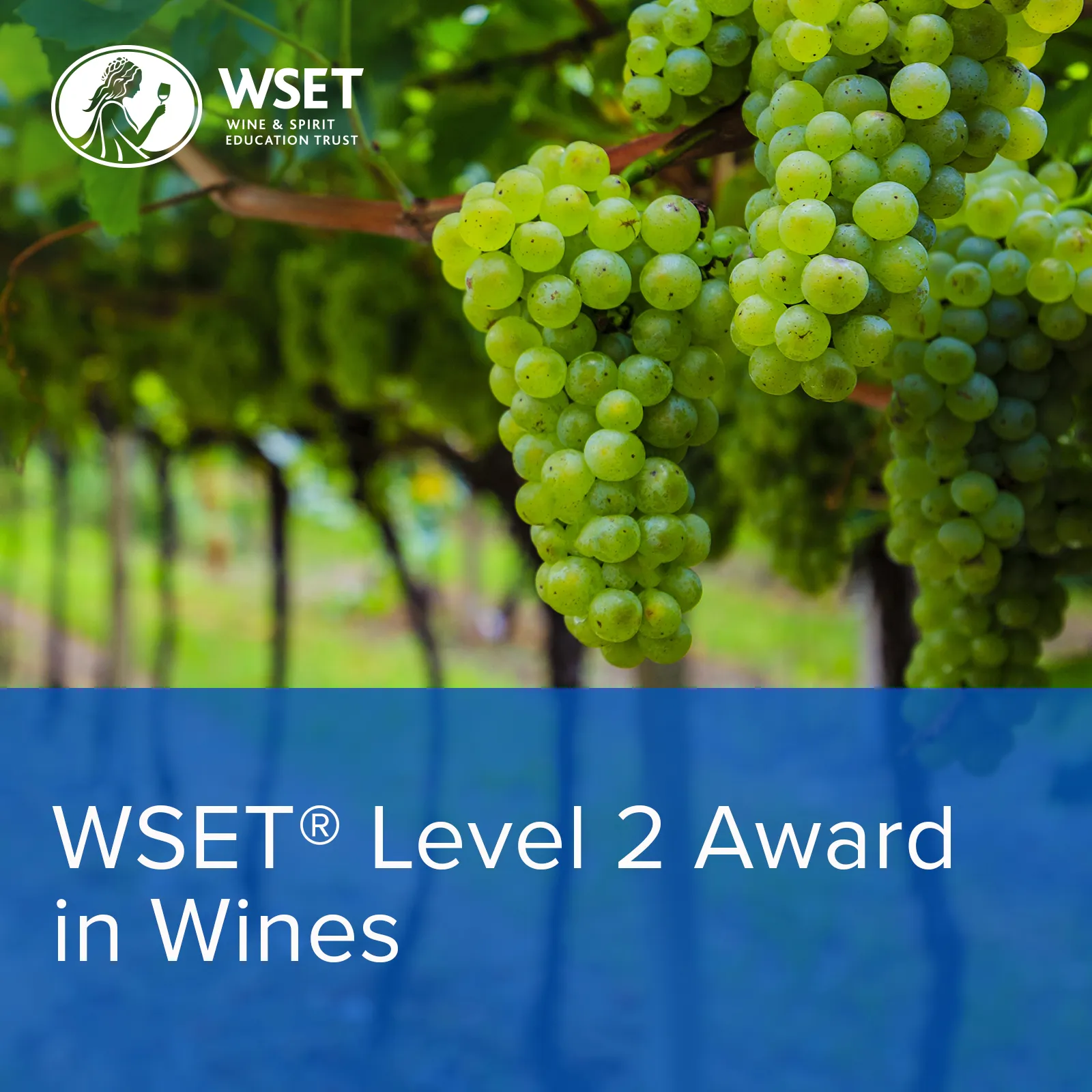 WSET Level 2 Award in Wines - Classroom, Sundays