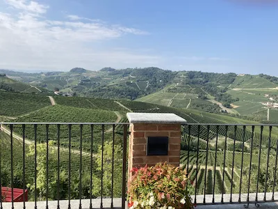 Nebbiolo by Name... Nebbiolo by Nature?