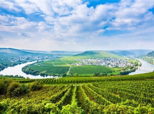 German Wines - Oktober Wine Fest