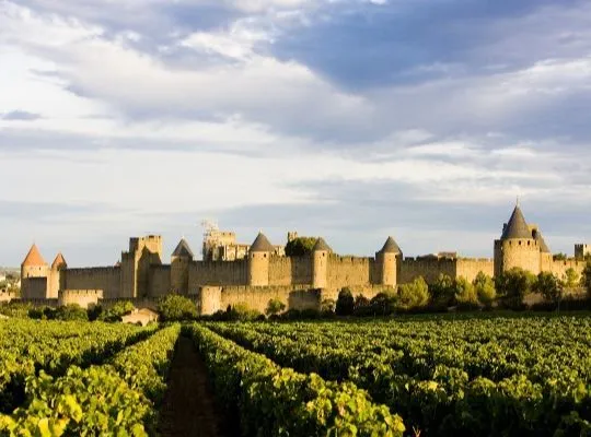 Discover the wines of the Rhône Valley