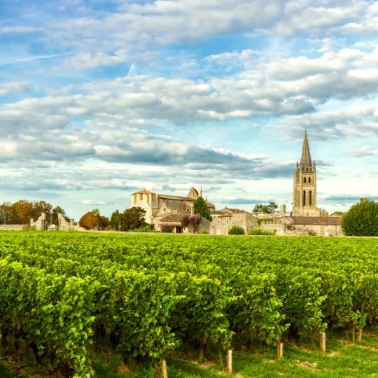 Wonderful World of Wine - Bordeaux & Rhone