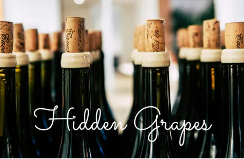 Hidden Grapes of eastern Europe & the rest of the world