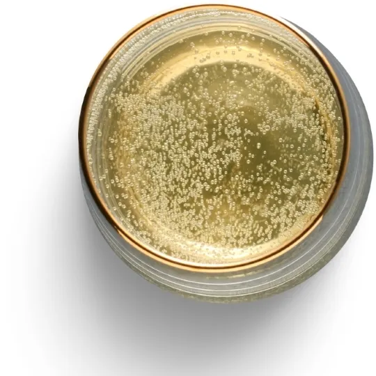 World of Wine - Sparkling and Fortified Wine