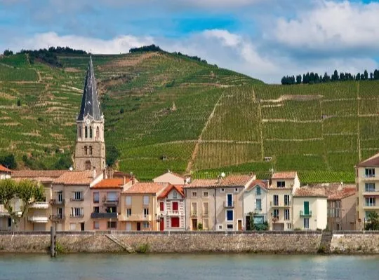 Masterclass: Rhône Valley