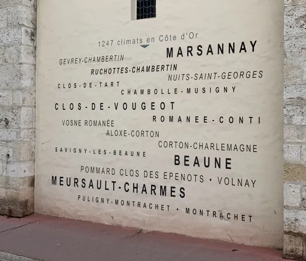 Chardonnay Day Masterclass