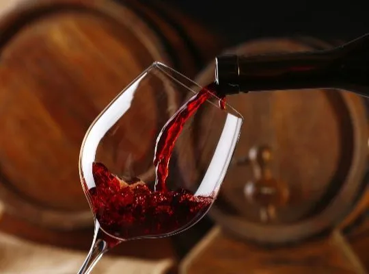 Autumn Wines - Rhone Valley