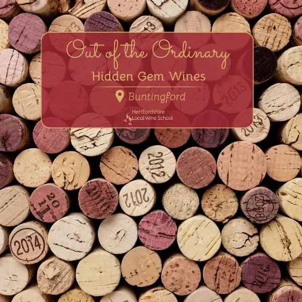 Out of the Ordinary: Hidden Gem Wines (Buntingford)