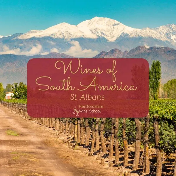 Wines of South America (Buntingford)