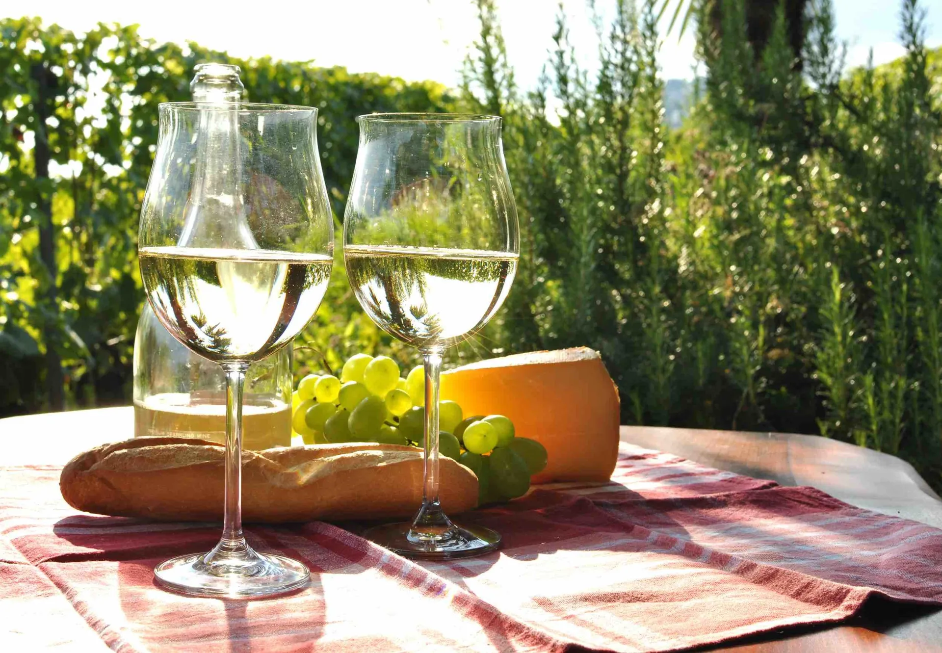 French Cheese & French Wine Pairing Workshop