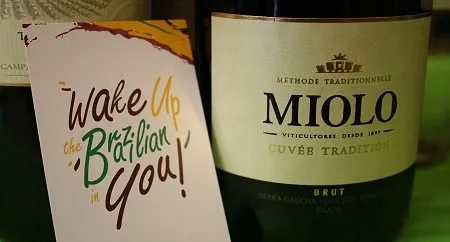 The BEST of 'New Latitude' Wine-Producing Countries, from Brazil To Uruguay via China, India, Japan & Thailand!