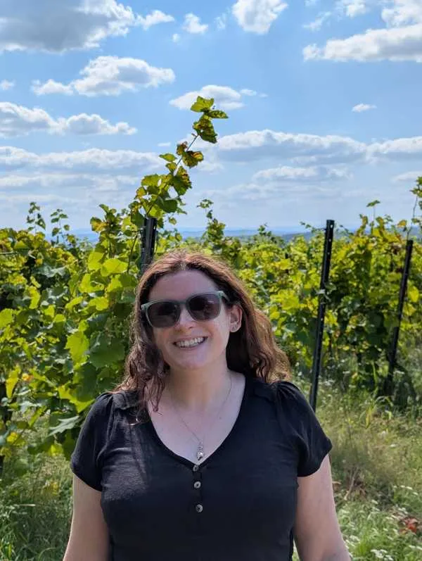 Carrie's Wines of 2026