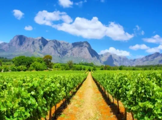 Saturday: South Africa