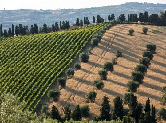 Saturday: Hidden Gems of Italy