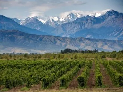 World of Wine - Chile and Argentina