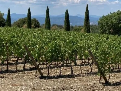 World of Wine - Italy