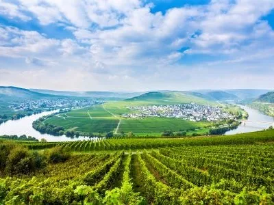 World of Wine - Germany, Austria and Hungary