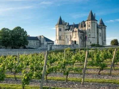 World of Wine - France