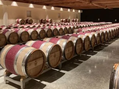 Introduction to Red Wines