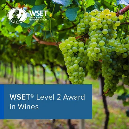WSET Level 2 Award in Wines Course - Sundays October