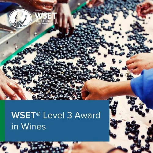 WSET Level 3 Award in Wines - CLASSROOM - Mondays October and November