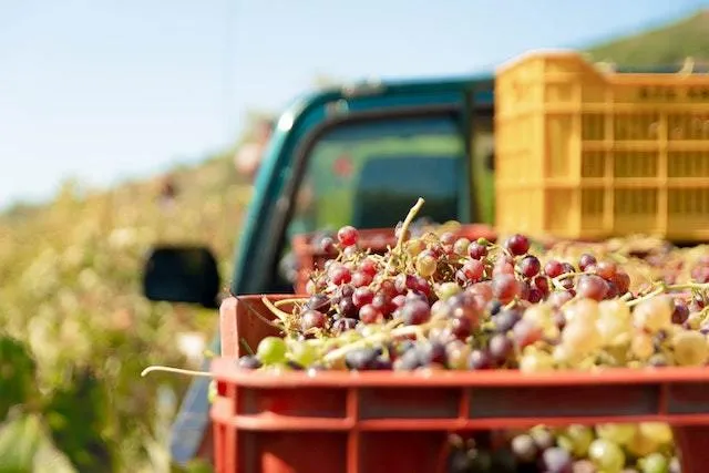 Ramble down the Rhône Masterclass