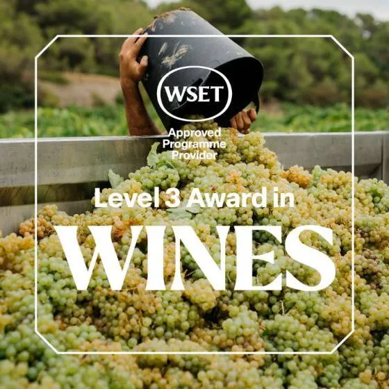WSET Level 3 Award in Wine