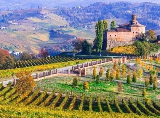 Saturday Sips: Italian Wine and Cicchetti