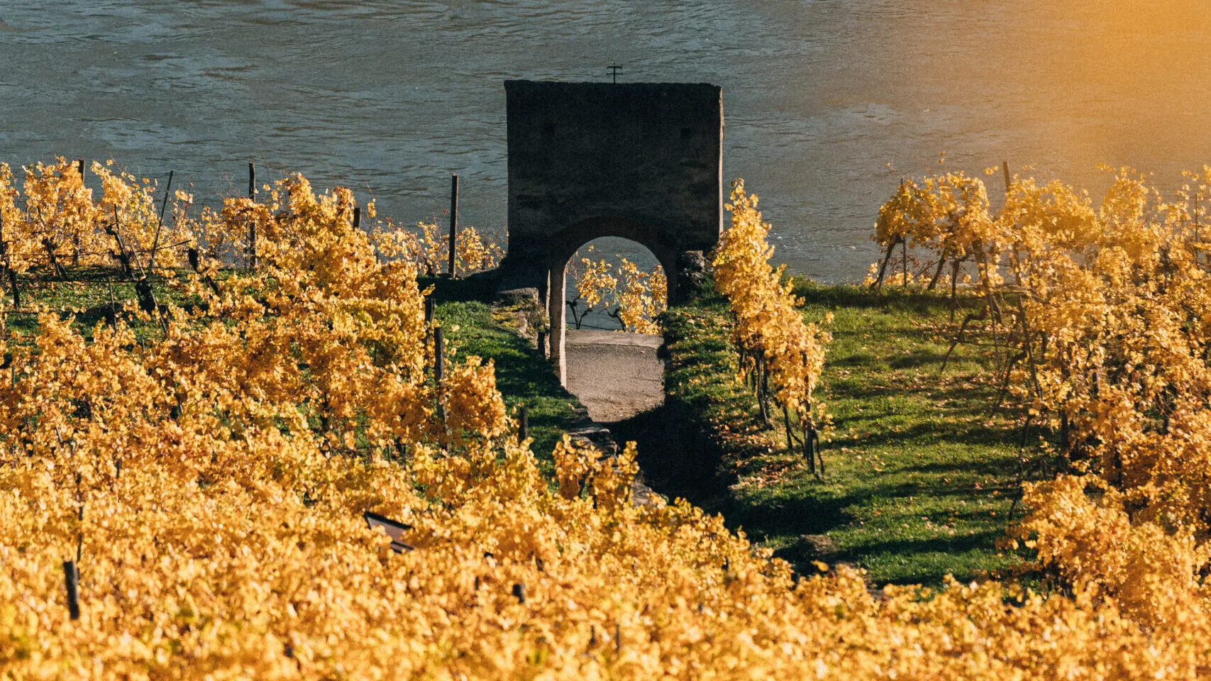 Prager: The Wines of Austria’s Wachau Valley